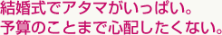 結婚式でアタマがいっぱい。予算のことまで心配したくない。